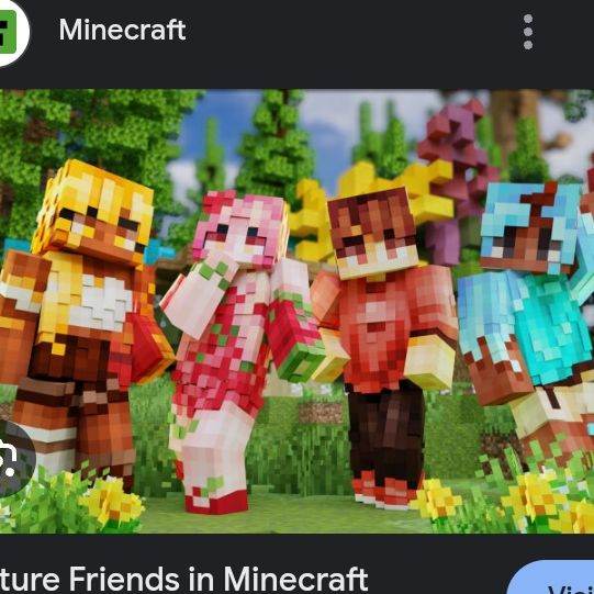 Minecraft Friends