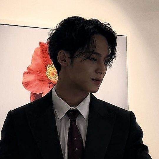 kim mingyu