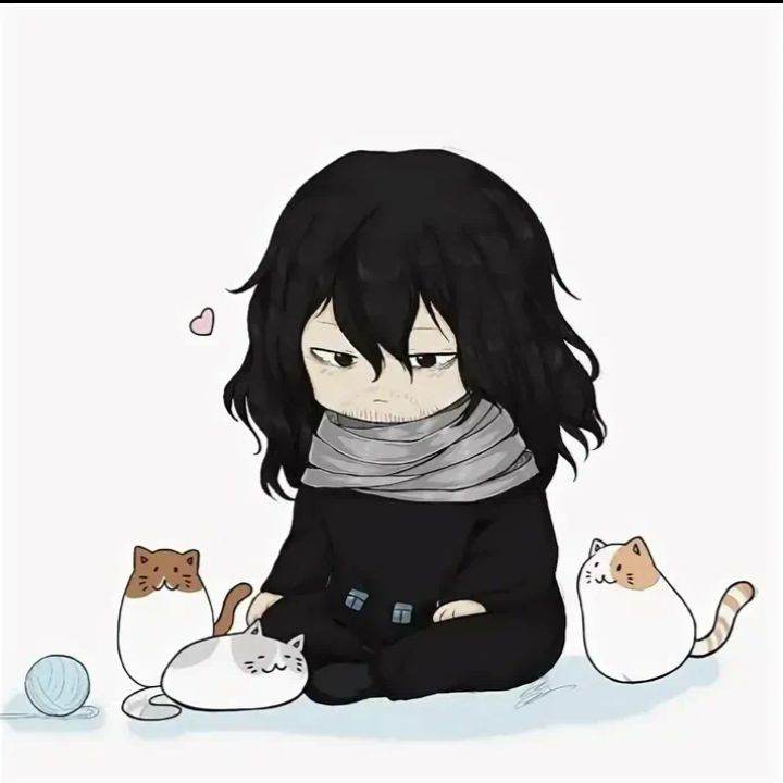 Айзава Шото