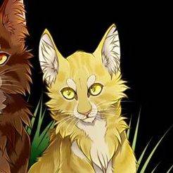Goldenflower/gata/Warrior Cats