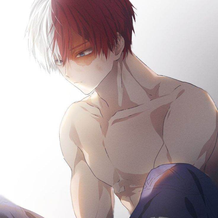 Shoto Todoroki