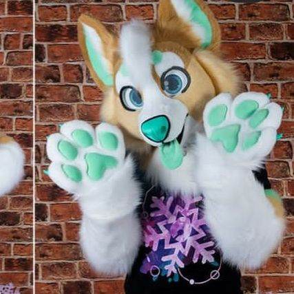 Furry