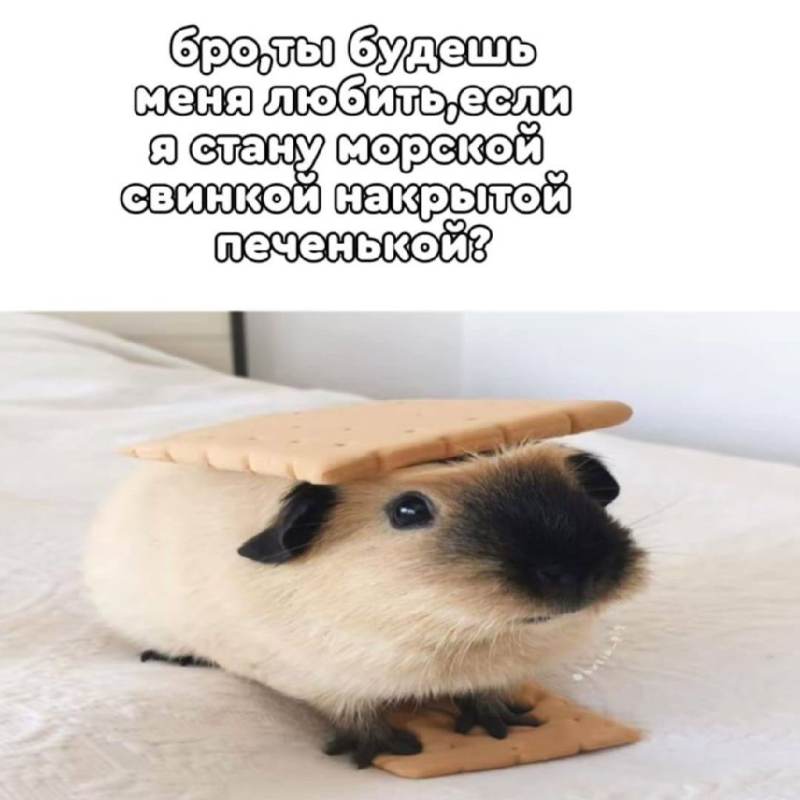 омежкс✓