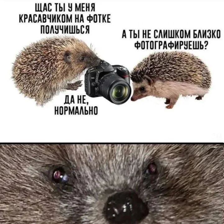 :0 вы что м и ж?! Я ср