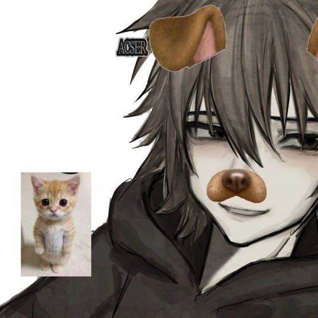 лудший друг