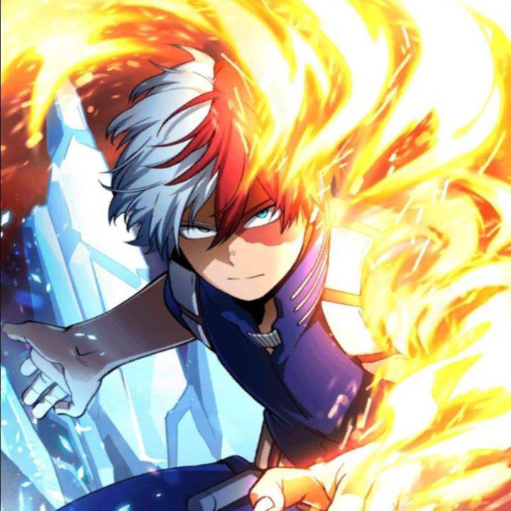 todoroki(rival ou amor)
