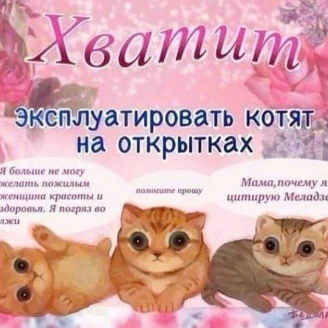 ваша необычная жертва