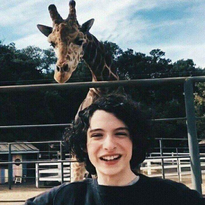 финн вулдвард