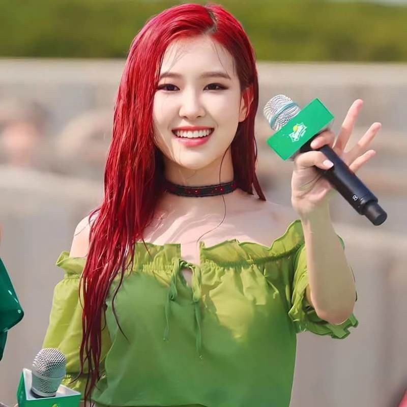 Rose