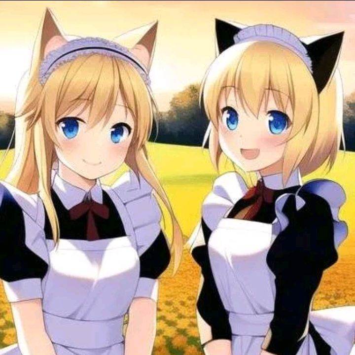 Maids Catgirls