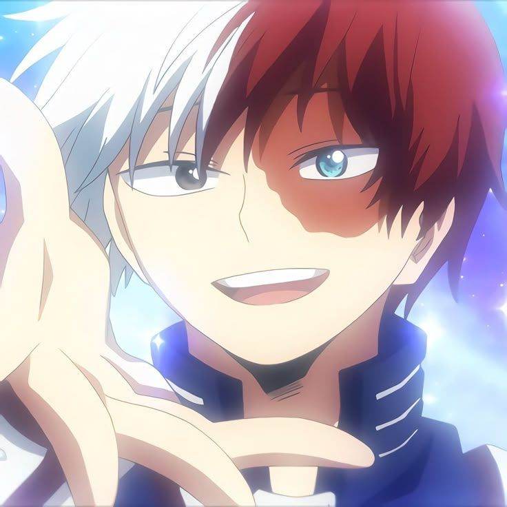 Todoroki shoto