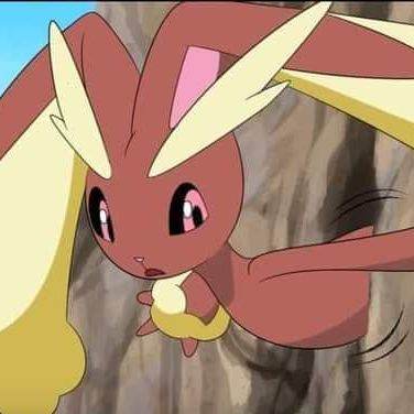 Lopunny atorada/Stuck Lopunny