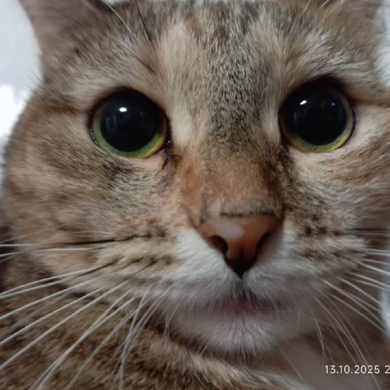 стеснительный мальчик)))