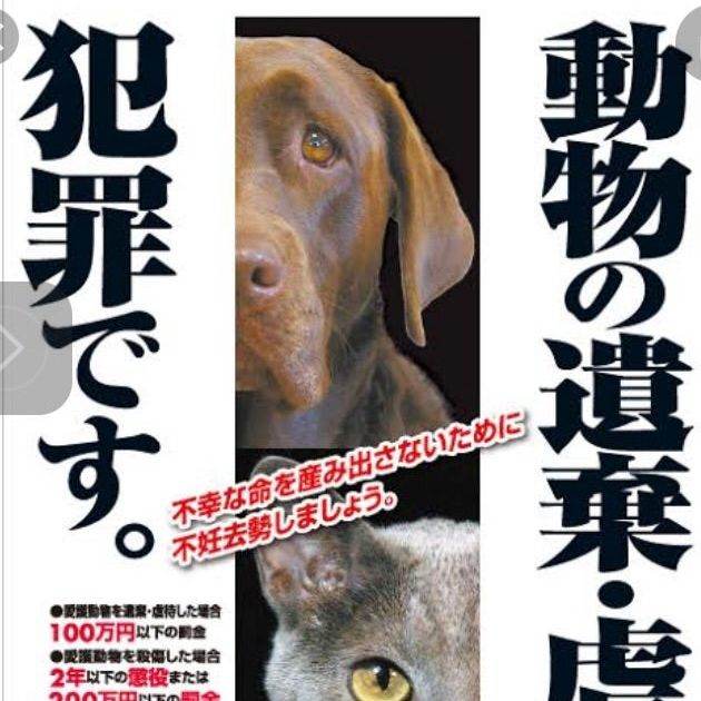 動物愛護法