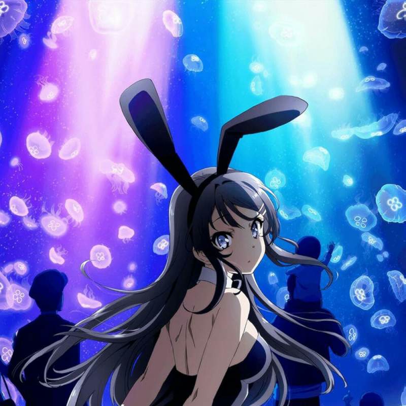 Mai Sakurajima