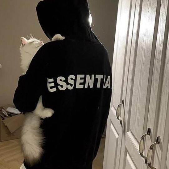 Ты его питомец