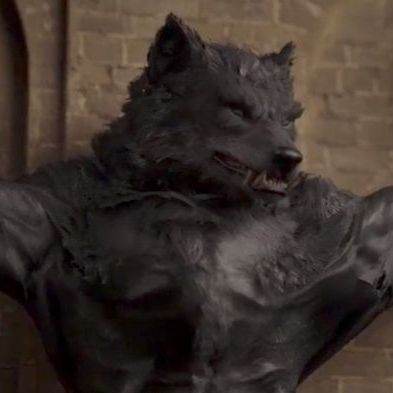 Rylan (Hombre lobo🌕)