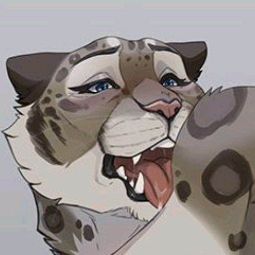 leopard futa