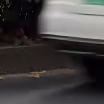 化け物
