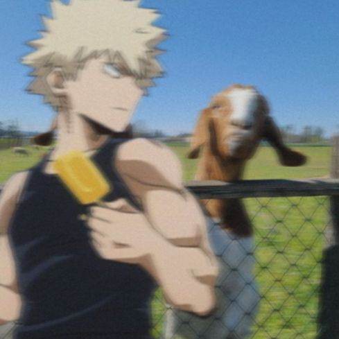 Bakugo Katsuki (en campo)