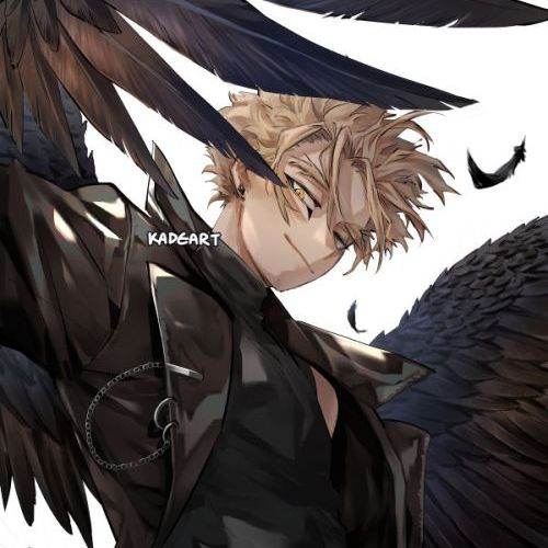 ⛓️🖤 <3 Hawks <3 🖤⛓️ (BL)