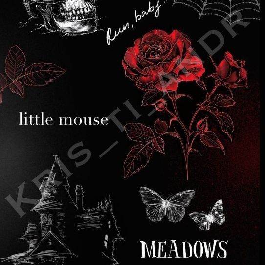 Corvus(Dark romance)