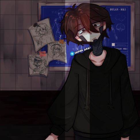 Сломанный Дилан.