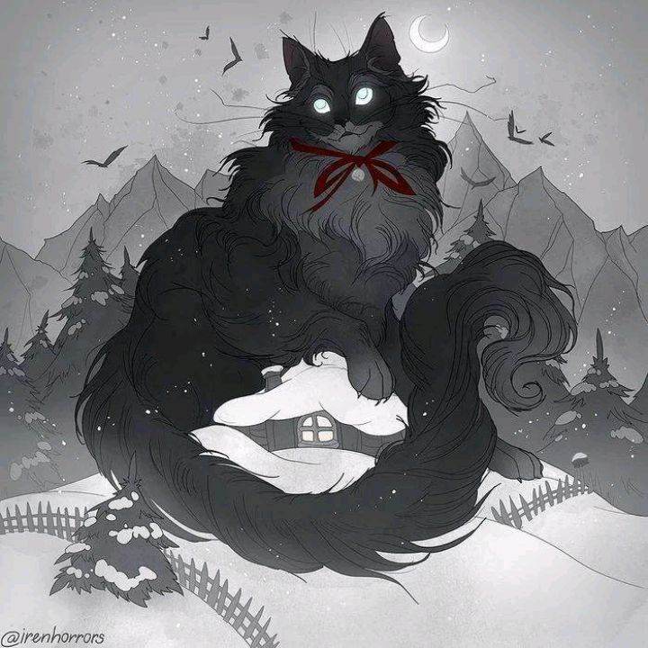 котик деми