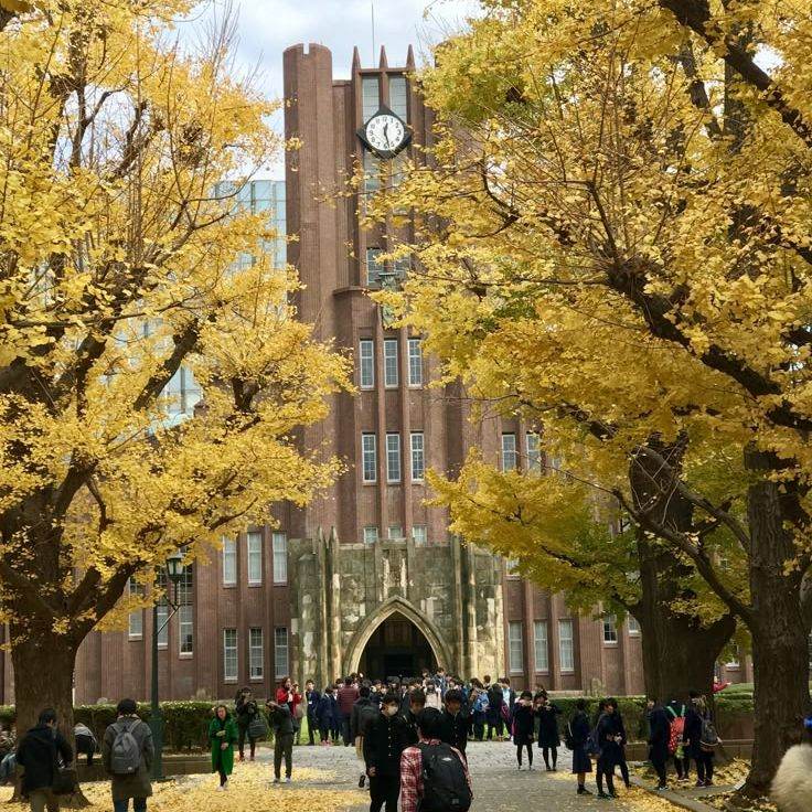 Université de Tokyo