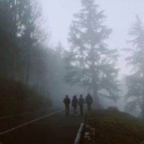 Zombie apocalyps