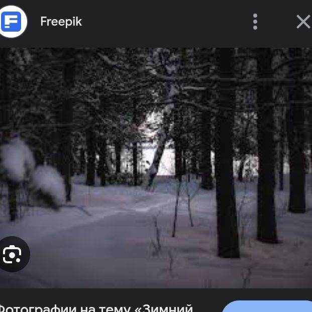 Зима