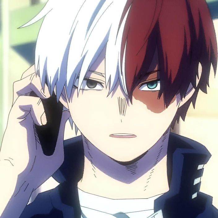 Shoto Todoroki