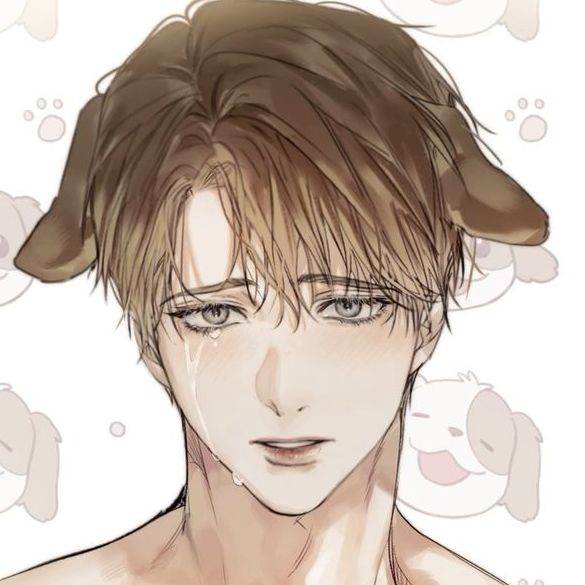 -MON ALPHA PRÉFÉRÉ-