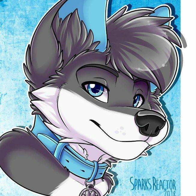 Furry
