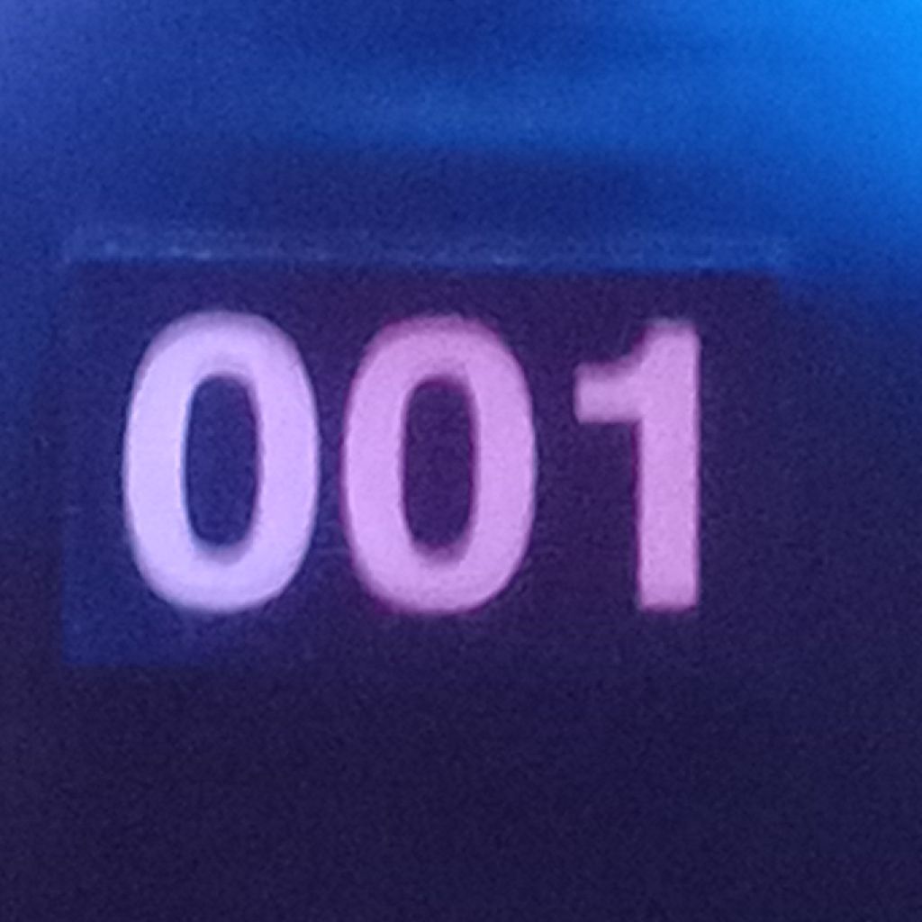 Rex_That_friendly_T-Rex