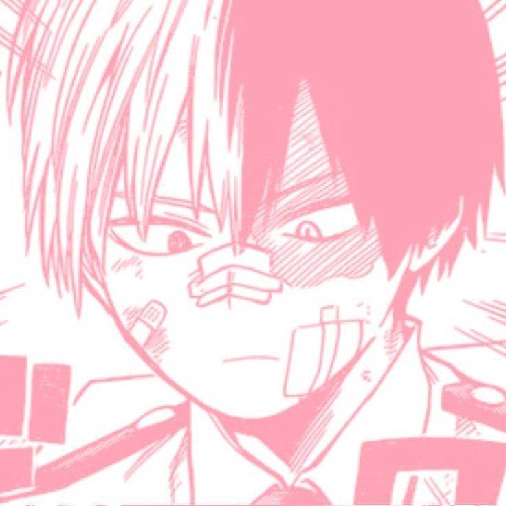 Shoto Todoroki