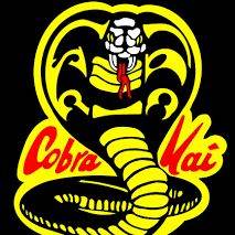 rpg de cobra kai
