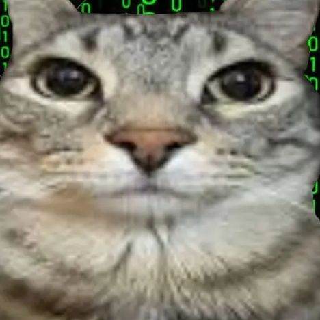 pana