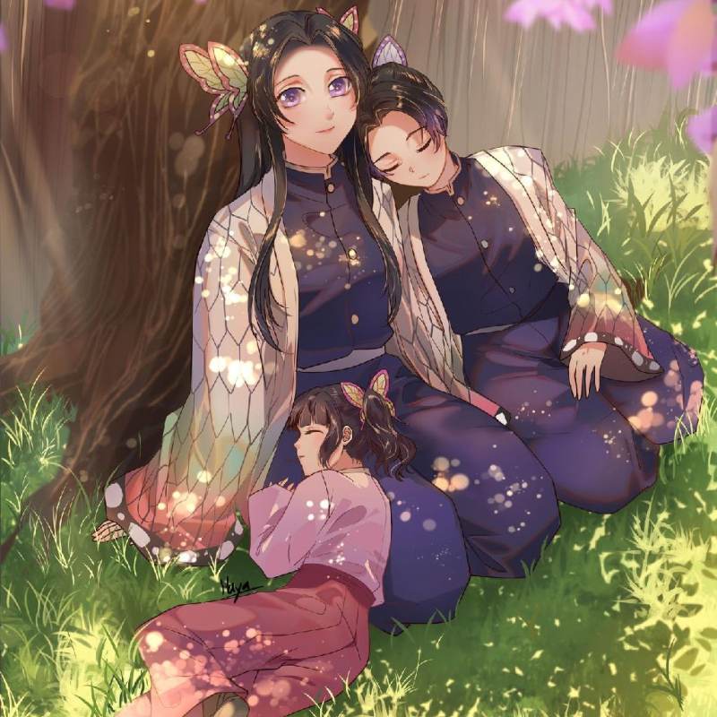 Mansion Butterfly 🦋