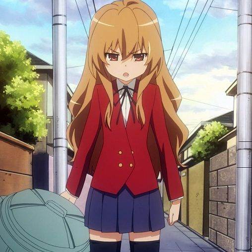 Taiga Aisaka