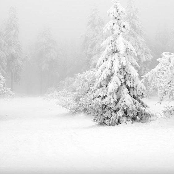 Tempête de neige