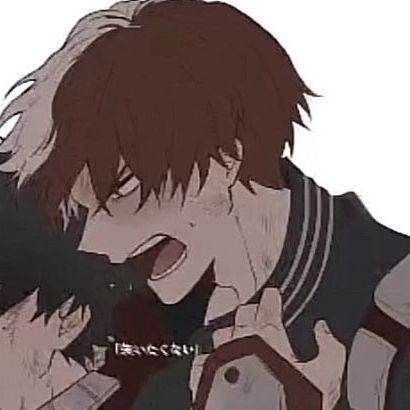 shoto et dabi
