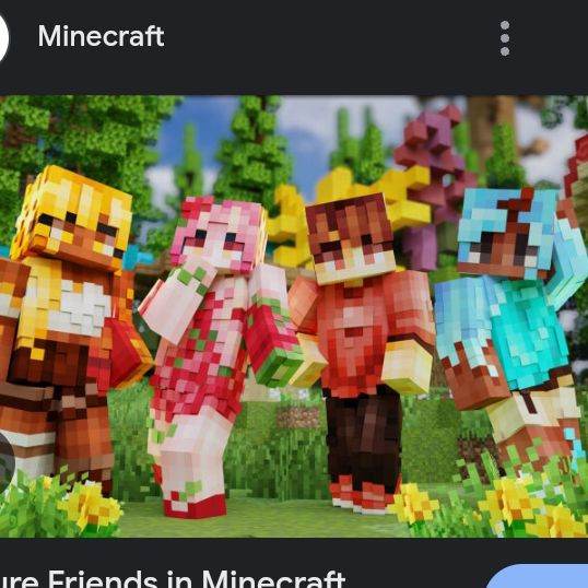 Minecraft Friends