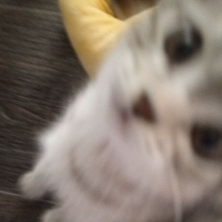 Хелли🍥🪽