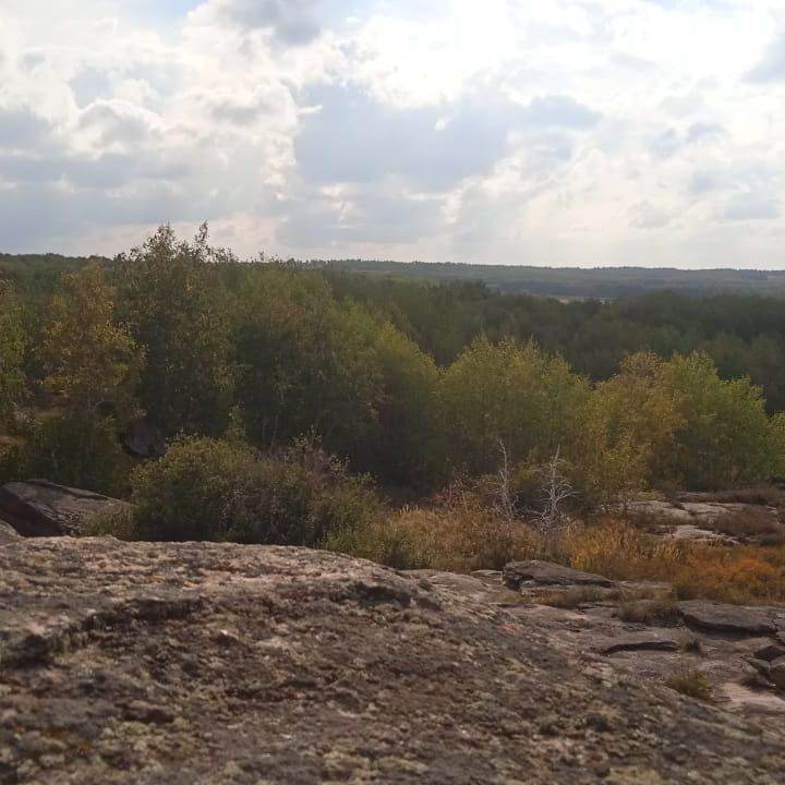 эллиот (яндере)
