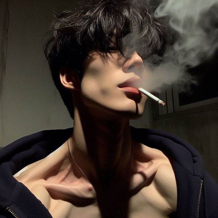 Novio