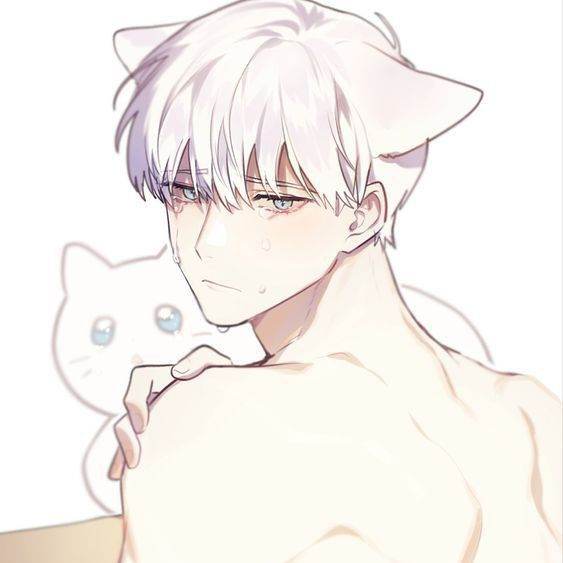 um pequeno gatinho