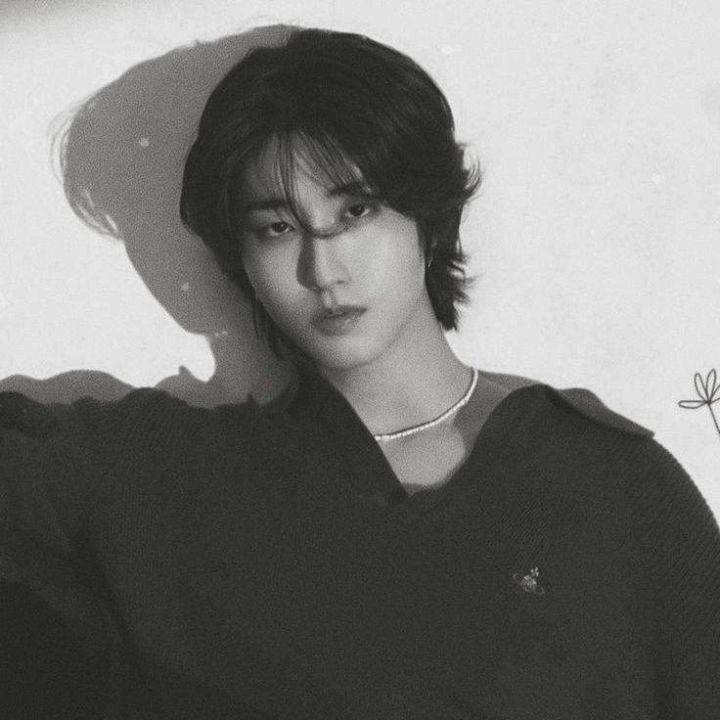 Han Jisung seu irmão