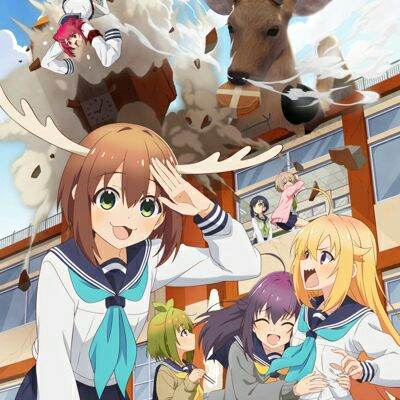 Shikonokonoko konstanta