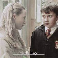 Neville Longbottom